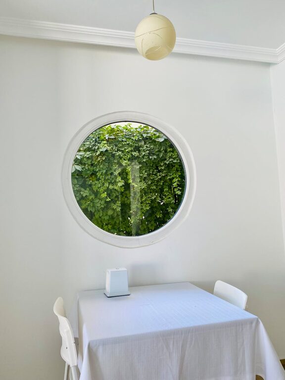 How to Refresh Your Home with Plants: Easy Tips for a Greener Space